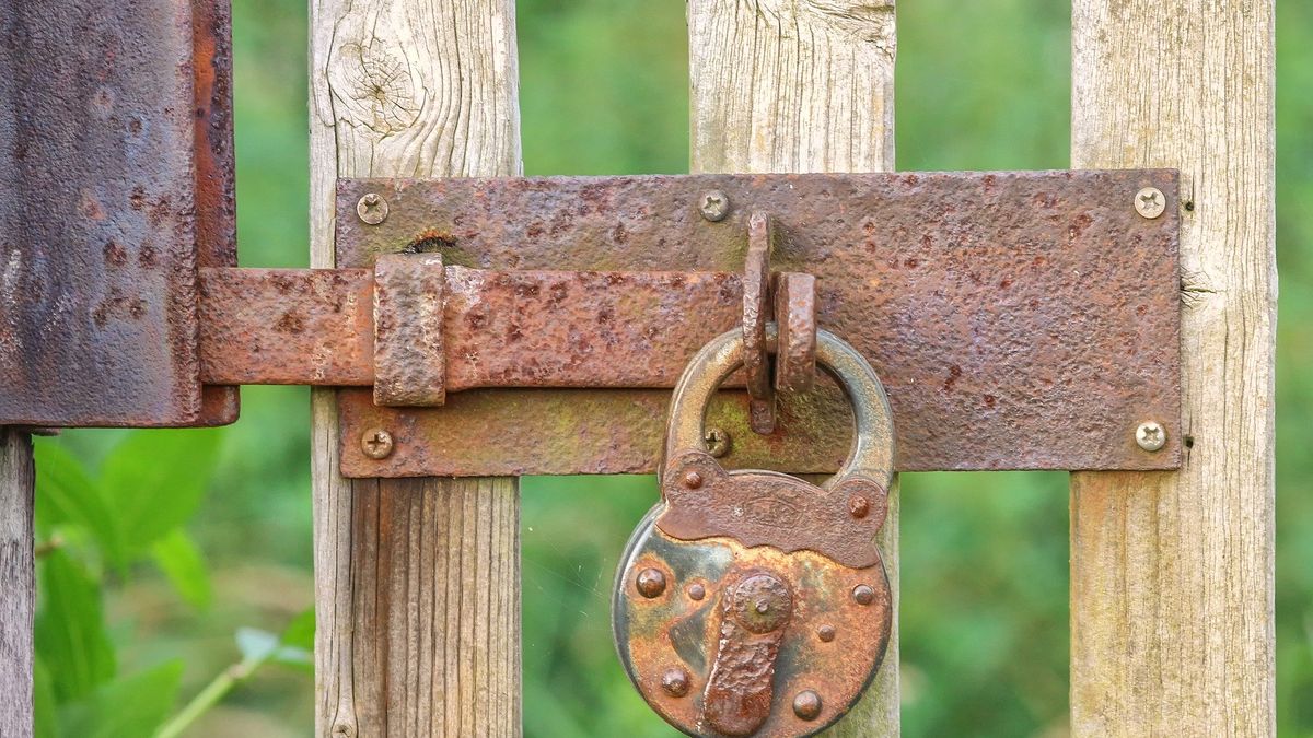 Telekomy mało przejmują się certyfikatami (fot. Pixabay)