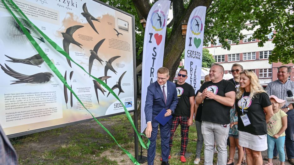 Częstochowa. NA specjalnej tablicy umieszczono najważniejsze informacje o jerzykach.