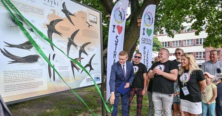 Częstochowa. Wszystko co powinniście wiedzieć o jerzykach, stanęła tablica