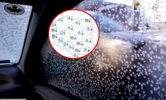 Prognozy się potwierdzają. Zayyan dotarł do Polski