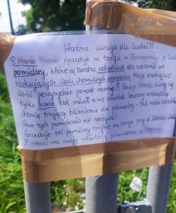 Nietypowe ogłoszenia o niebezpiecznych pomidorach. "Tak robi katolik – grzeszy, szkodząc chemią"