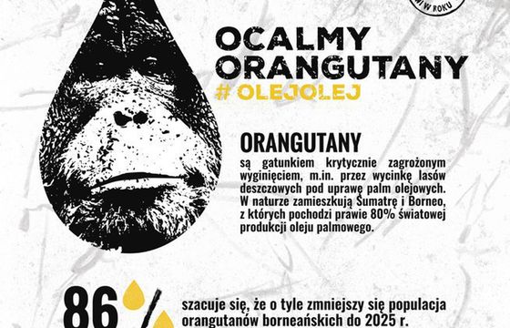 Orangutanica z gdańskiego zoo namalowała obrazy do kampanii #olejolej
