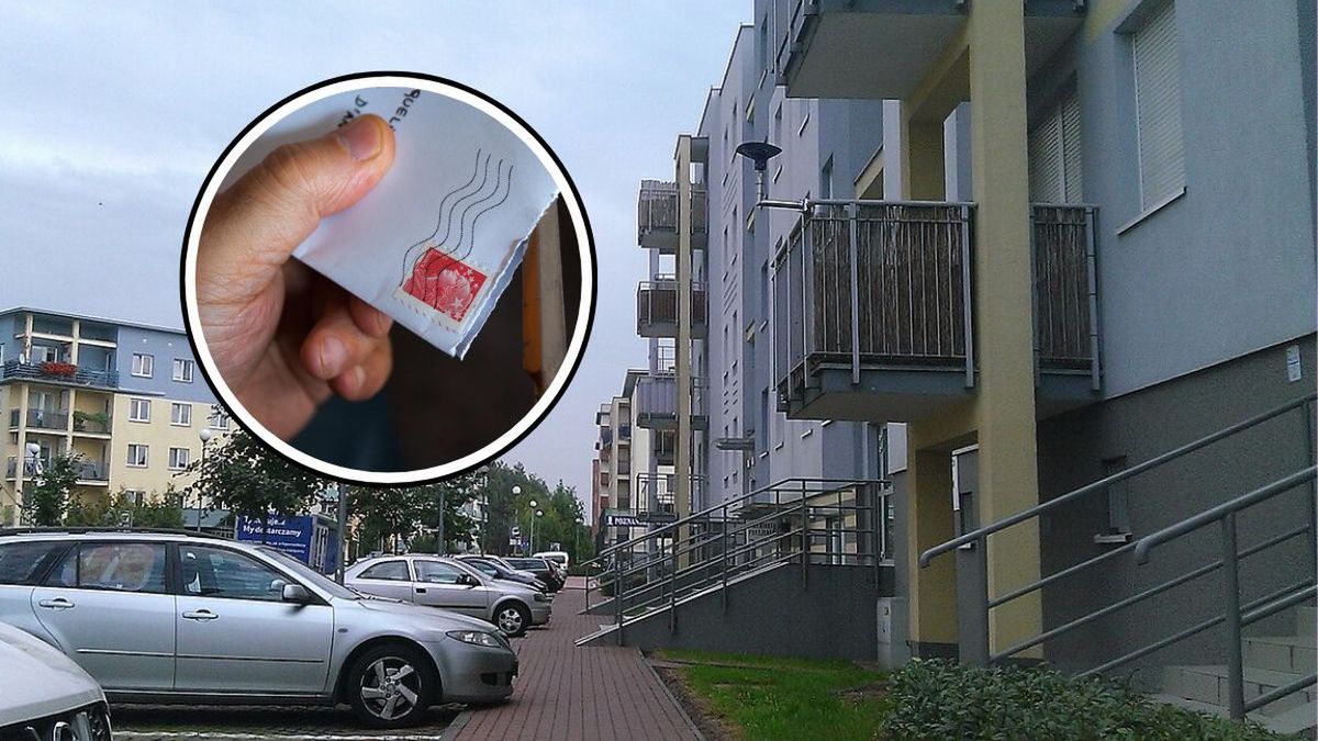 Zmumifikowane ciało w Poznaniu