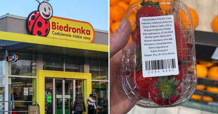 Pierwsze polskie truskawki. Oto jak prezentują się w opakowaniu