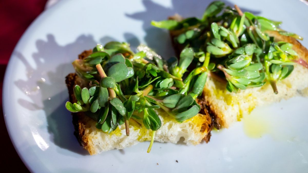 Kanapki z portulaką