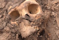 Niezwykłe odkrycie w Peru. Mumia w liściach koki sprzed 3 tys. lat