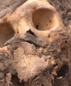 Niezwykłe odkrycie w Peru. Mumia w liściach koki sprzed 3 tys. lat