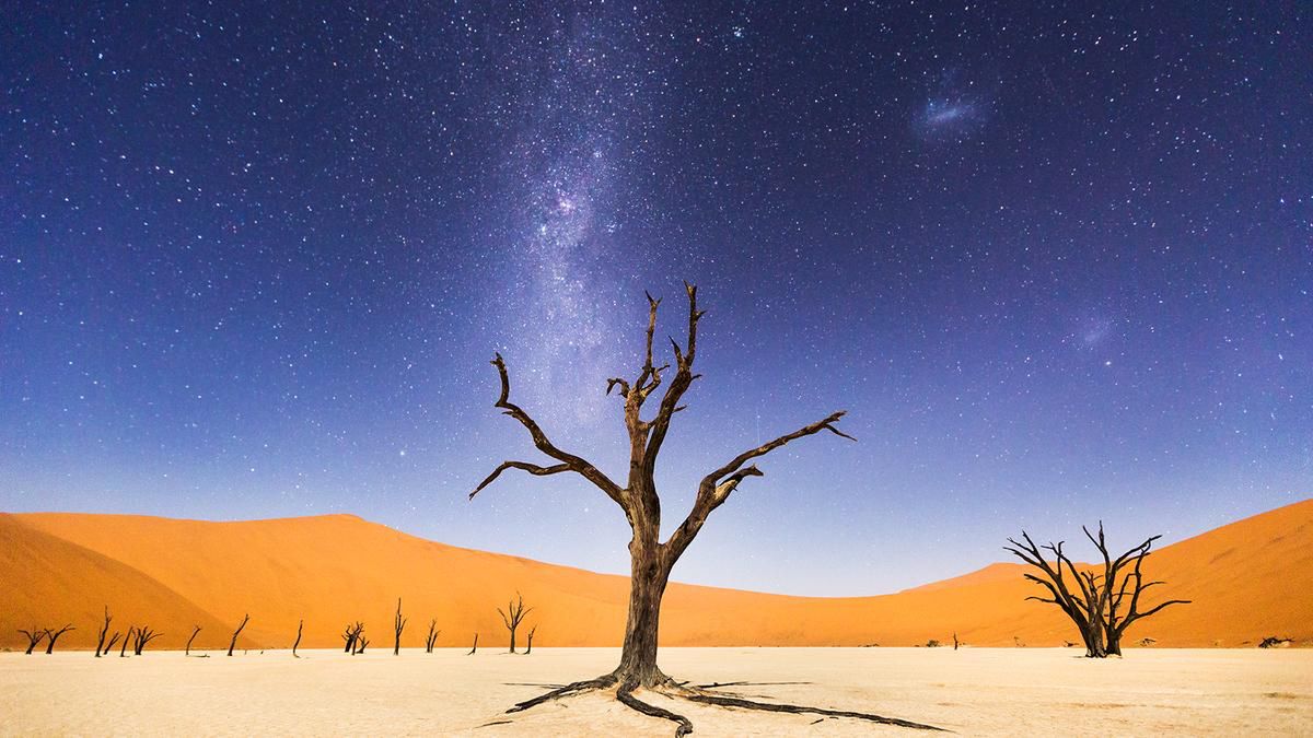 Wyróżnienie. Na zdjęciu: Deadveli w Namibii.