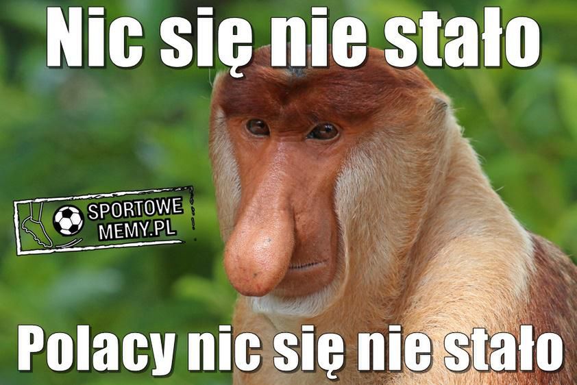 Polska-Senegal memy
