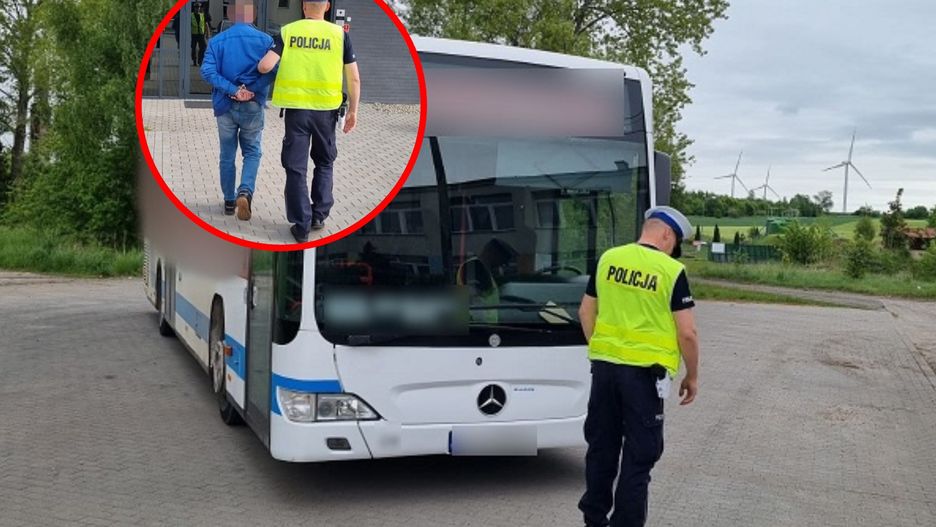 kierowca autobusu
