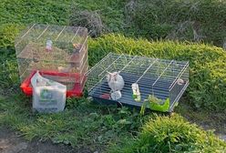 Dwie klatki na polu. "Komuś znudziły się zwierzęta?"