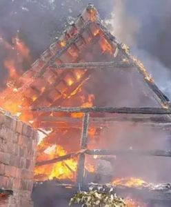 Strażacy ewakuowali psa z płonącego domu. Zwierzę schowało się przed ogniem