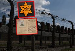 Co było na skandalicznej aukcji? "Noszą ślady zużycia"