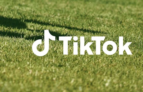 Właściciel Play i UPC Polska w konsorcjum przejmującym TikToka