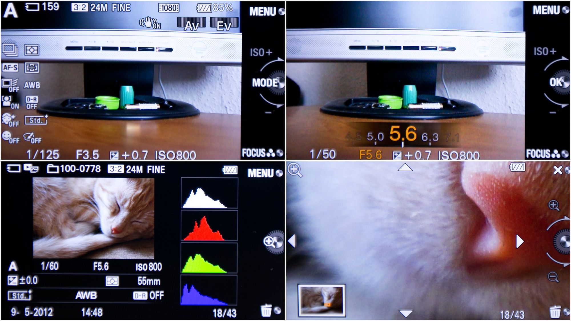 Sony NEX-7 - kompaktowy profesjonalista [test] 9