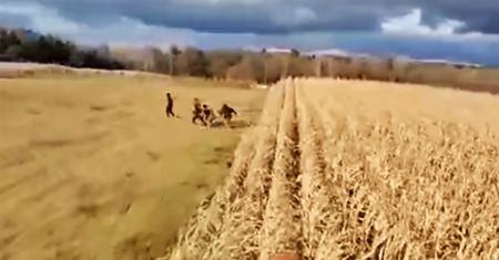 Migranci uciekają przed kombajnem. Wstrząsające nagranie