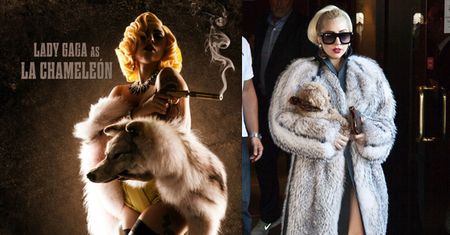 PETA ATAKUJE Lady Gagę!