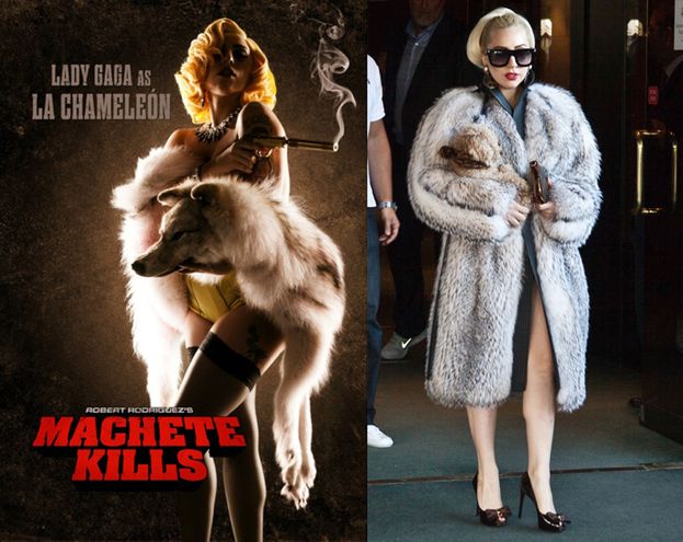 PETA ATAKUJE Lady Gagę!