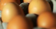 Dziwne linie na jajkach. Internauci odkryli, co się za nimi kryje