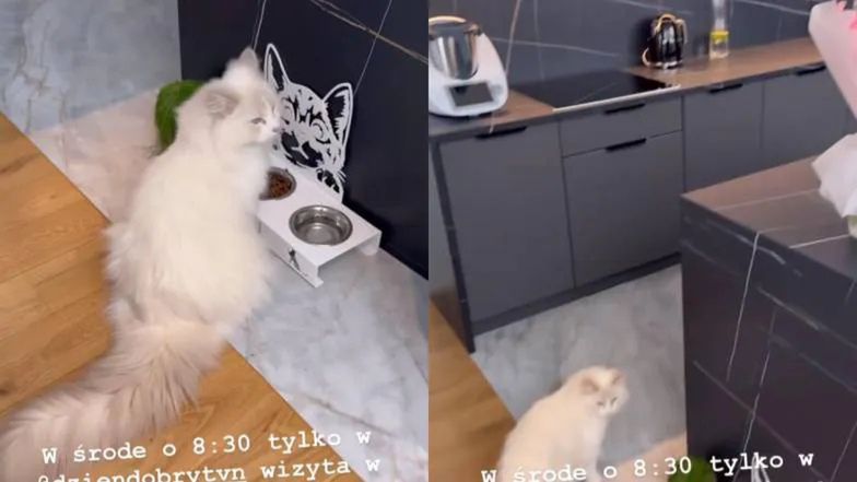 mieszkanie Roksany Węgiel