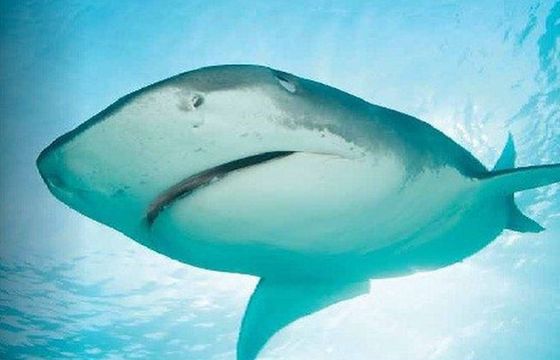 Dokumenty, rozrywka i programy kulinarne jesienią w TV6