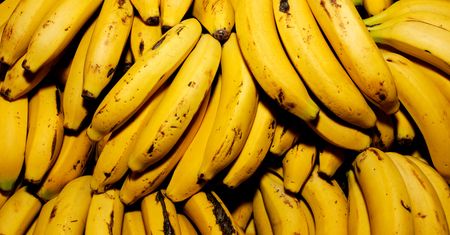 Jeść czy nie jeść? Mówią, że czarna końcówka banana jest trująca lub zawiera robaki