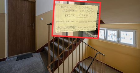 "Absurdalne odgłosy" z balkonu. Mieszkańcy wściekli na sąsiada