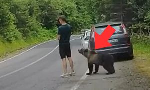 Nie widział zagrożenia? Nagranie z Rumunii obiegło sieć