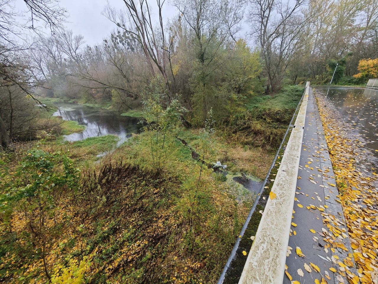 Toruń: Czy Kępa Bazarowa niebawem przestanie być wyspą