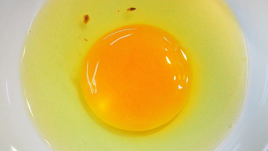 Krew w jajku – jeść czy wyrzucić?