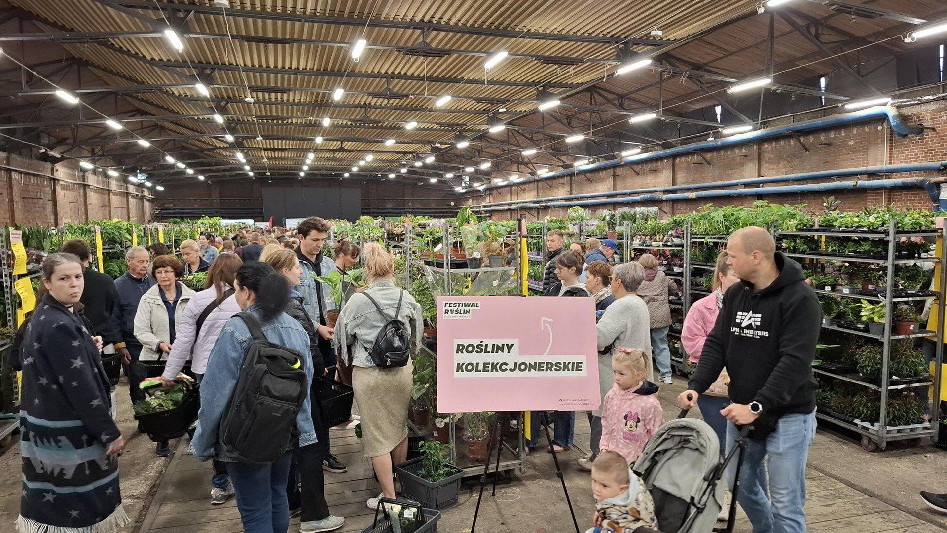 Festiwal Roślin we Wrocławiu