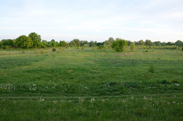 Nikon D5100 - test [część 2] 33
