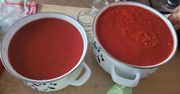 12 kg pomidorów od rolnika przerobiłam na sok. Sposób cioci bez włączania wyciskarki