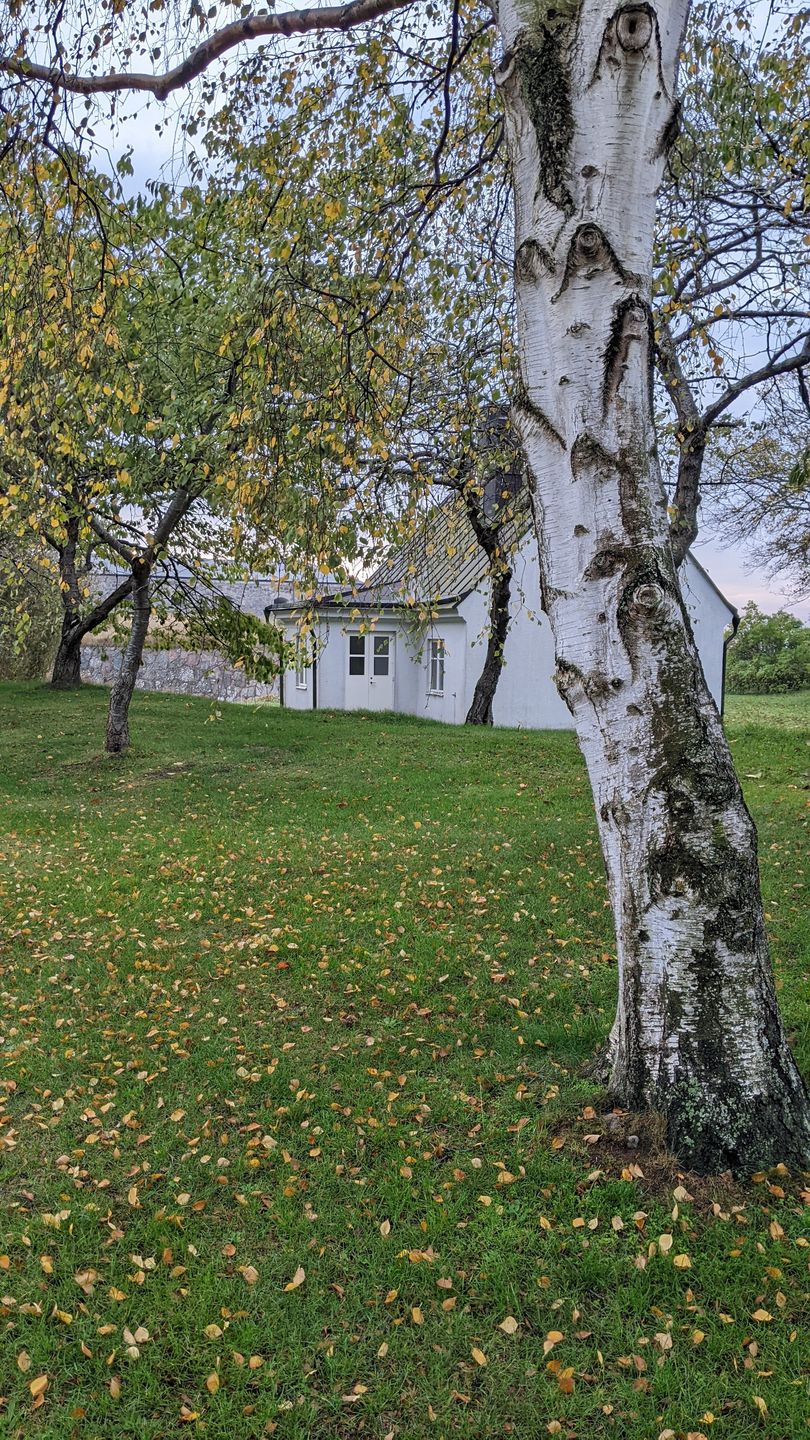 Sielski klimat na wyspie Aspo