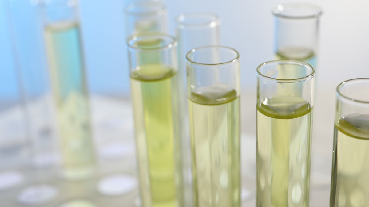 Przezroczysty mocz może być również objawem nadczynności przytarczyc