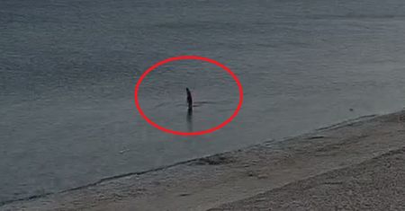 Poranna kąpiel w Kołobrzegu. Ujęcie znad Bałtyku