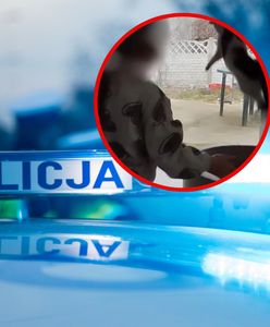 Dziecko znęcało się nad kotem. Matka oskarżona