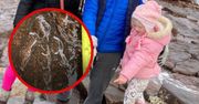Spacerowała z tatą. Niezwykłe odkrycie 4-latki