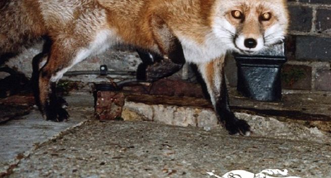 Burberry nowym logo zrywa z nowoczesnością