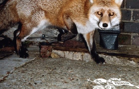 Burberry nowym logo zrywa z nowoczesnością