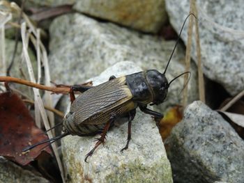 Już się zaczęło. "Każdy słyszał, nie każdy widział"
