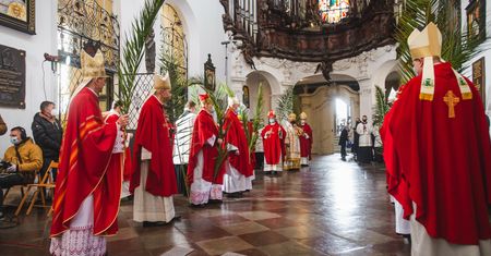 Episkopat do wymiany? "Papież nie może faworyzować Polaków"