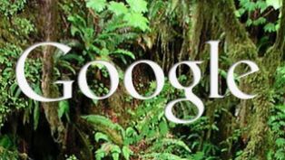 Photovine - nowy fotograficzny projekt Google'a? 1