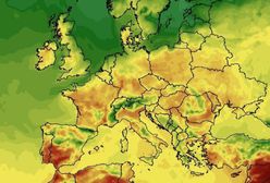 Mamy nową prognozę. W weekend zwrot w pogodzie