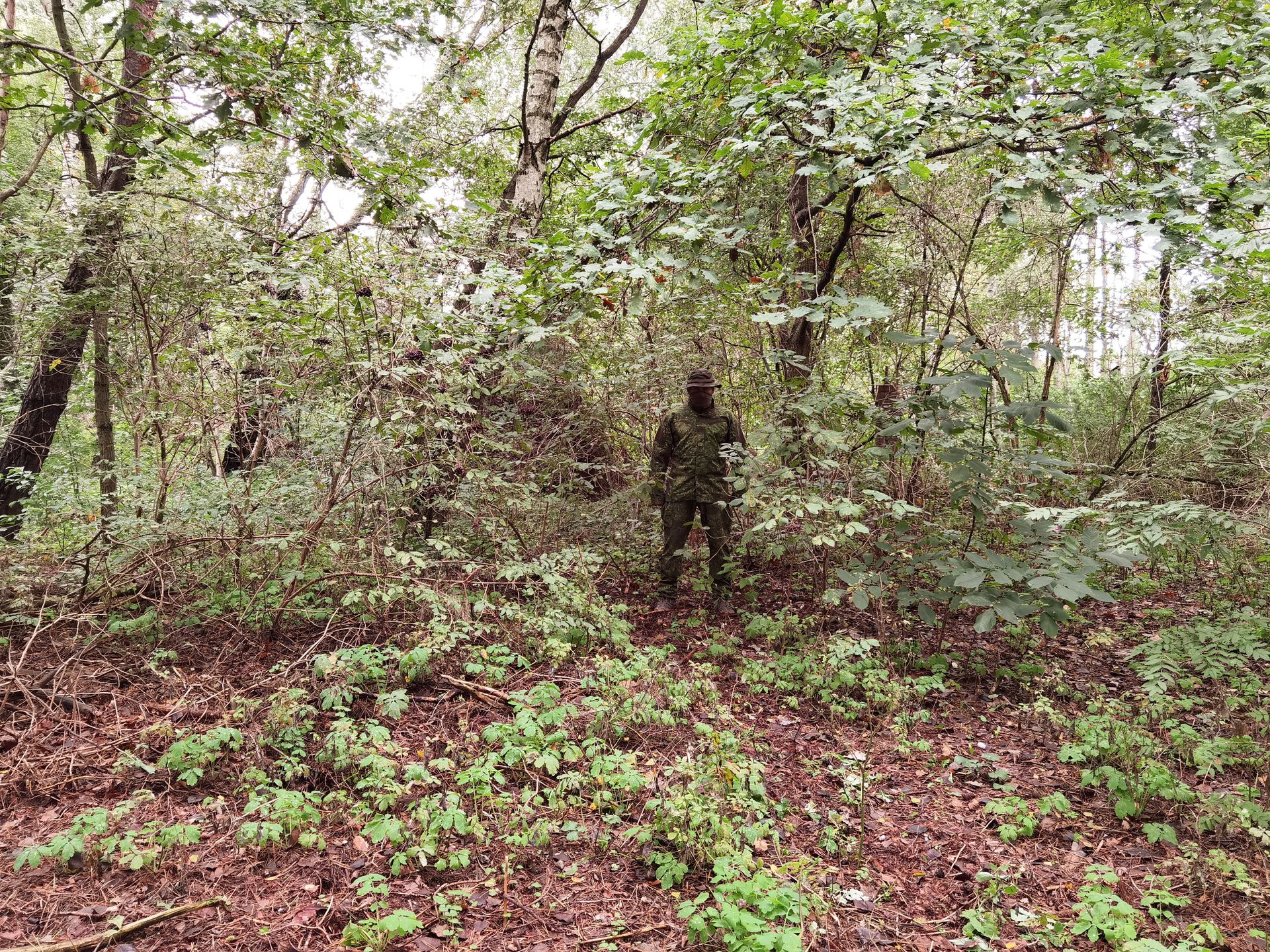 Kamuflaż PenCott Wildwood, lokalizacja trzecia
