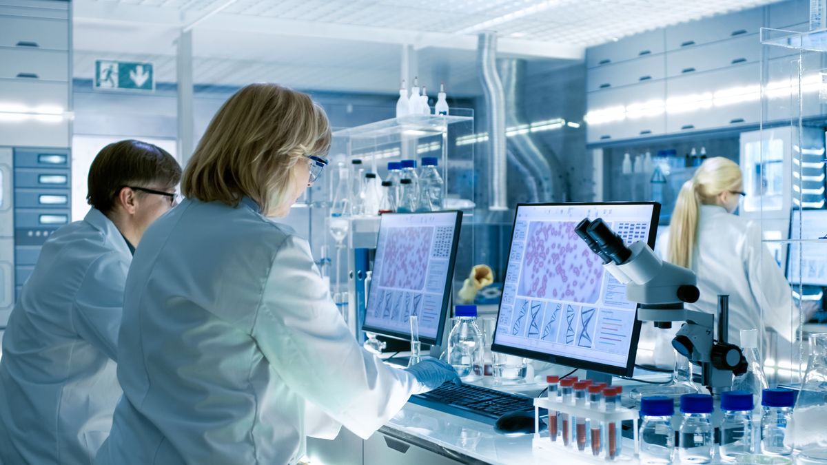 Perspektywy rozwoju polskich spółek medycznych są bardzo dobre.