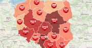 Koronawirus w Polsce. Najwyższy wzrost zakażeń od miesiąca. Już ponad 1 650 ofiar [Mapa]