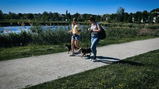 Staw Kalina w Świętochłowicach to największa inwestycja w historii Świętochłowic