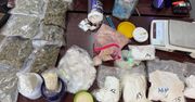 Grudziądz: 59-latek miał prawie 8 kg narkotyków w garażu. Policjanci dowiedzieli się o tym i zrobili nalot