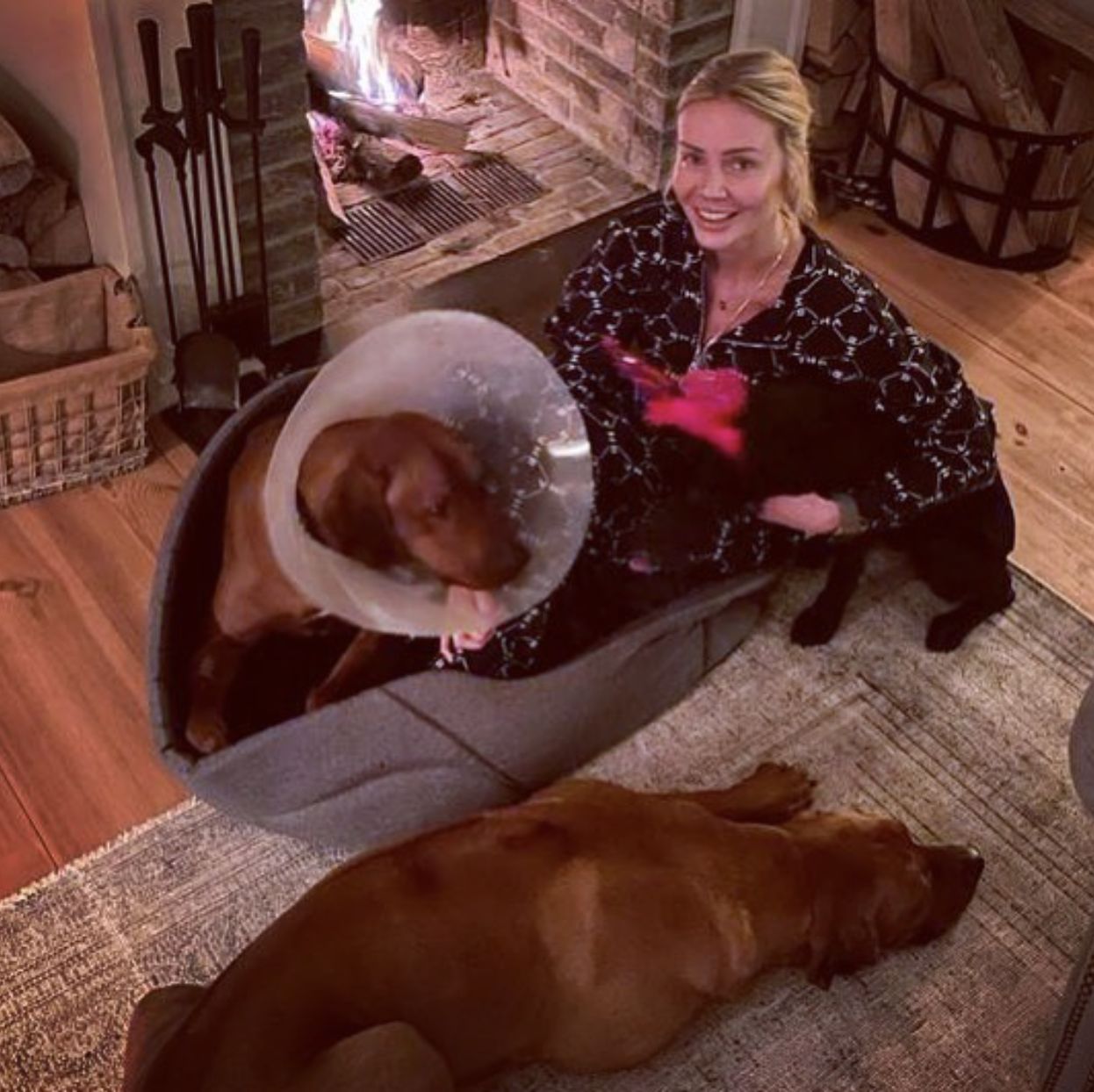 Agnieszka Woźniak-Starak z psami